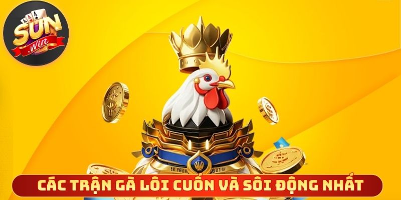 Các trận gà lôi cuốn và sôi động nhất