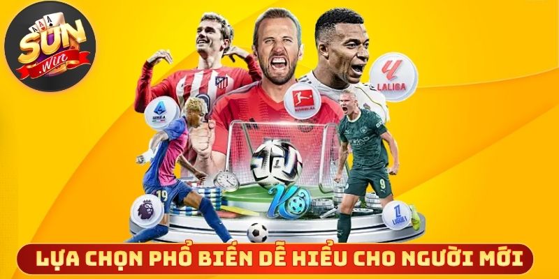 Lựa chọn phổ biến dễ hiểu cho người mới