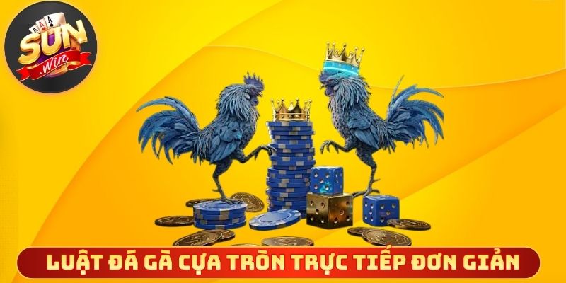 Luật đá gà cựa tròn trực tiếp đơn giản
