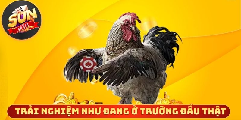 Trải nghiệm sôi động như đang ở trường đấu thật