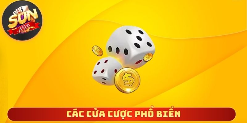 Các cửa cược phổ biến được nhiều người lựa chọn