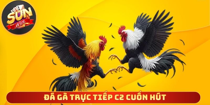 Đá gà trực tiếp C2 cuốn hút nhờ lối chơi hấp dẫn