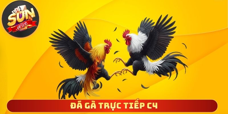 Đá Gà Trực Tiếp C4