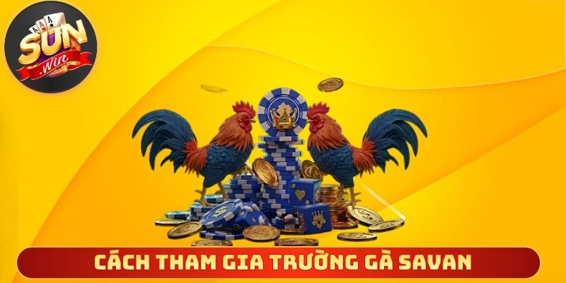 Hướng dẫn cách tham gia trường gà Savan rõ ràng