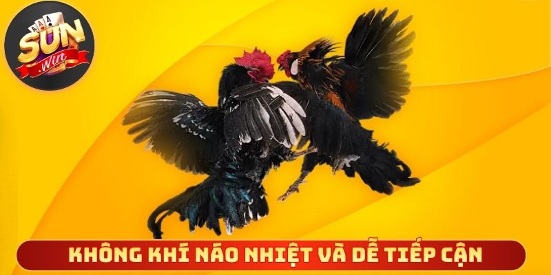 Không khí náo nhiệt và dễ tiếp cận cho mọi người