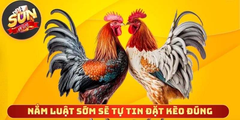 Nắm luật sớm sẽ tự tin đặt kèo đúng